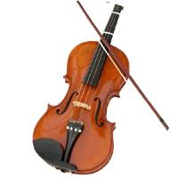 String Instruments